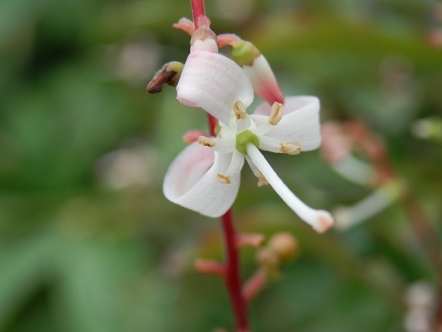 f0003138_17283288.jpg