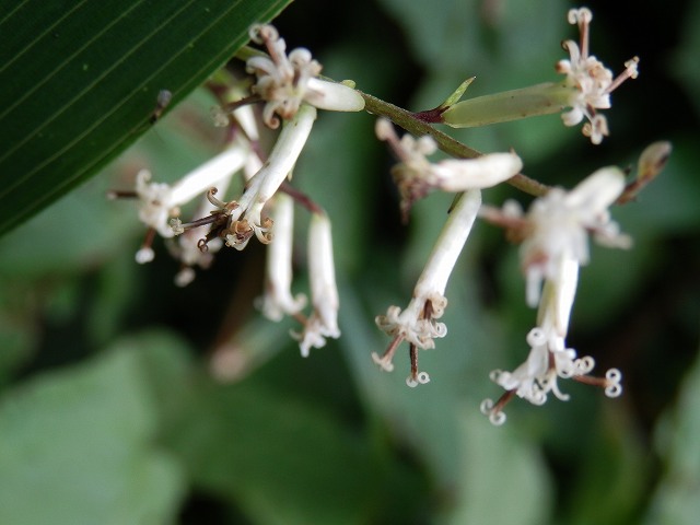 f0003138_17331796.jpg