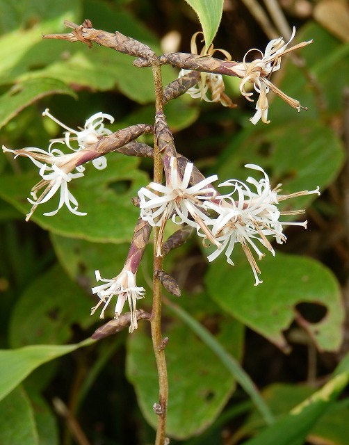 f0003138_17412593.jpg