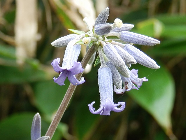 f0003138_17495894.jpg