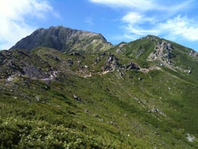 c0152646_14324439.jpg