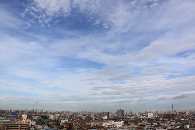 朝7時の空_e0028650_2125241.jpg