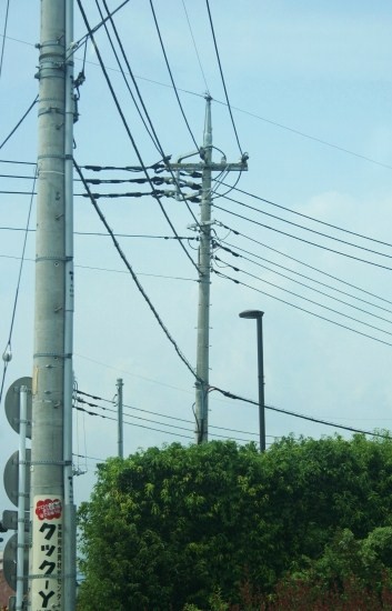 e0126350_1375796.jpg