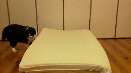 a0208652_23103258.jpg