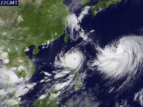 台風１２号；　体調 ；　谷の水 ；　寒い ；　猫たち_c0105557_193472.jpg