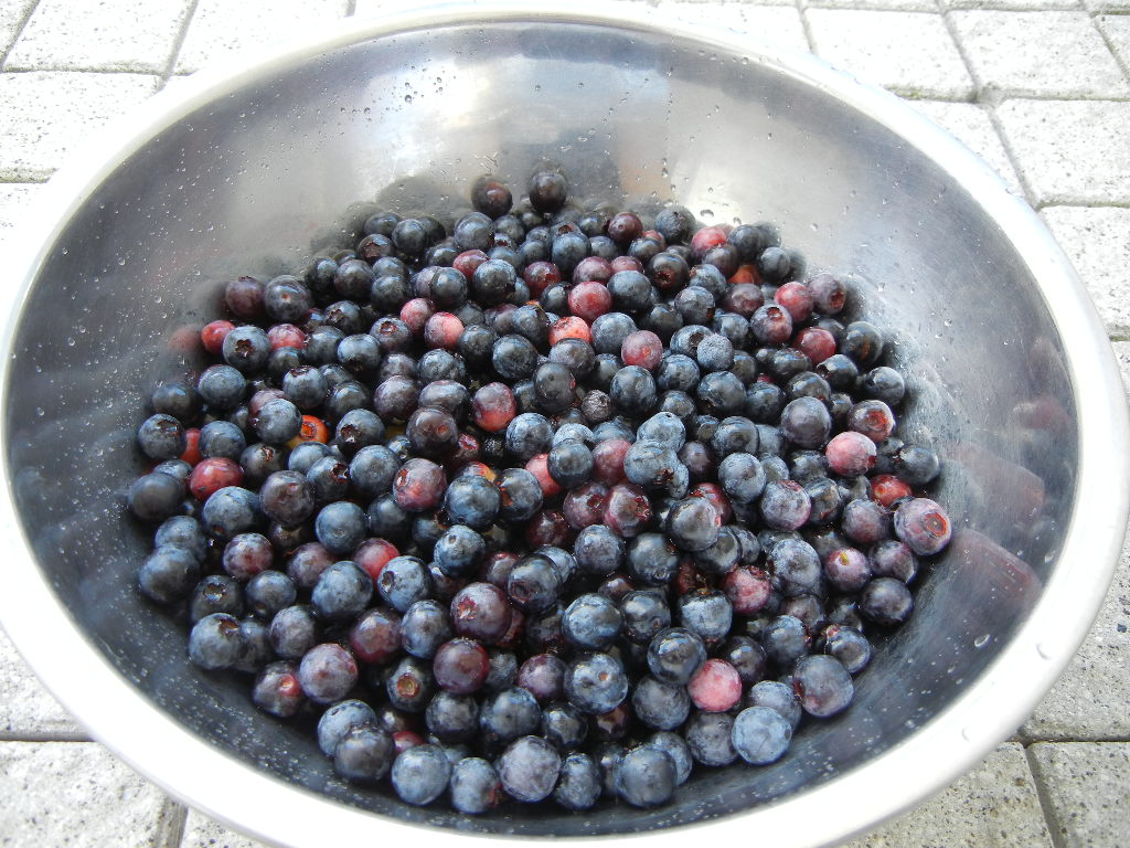 2011年8月26日(金)やっぱりもう秋!_f0060461_14264851.jpg