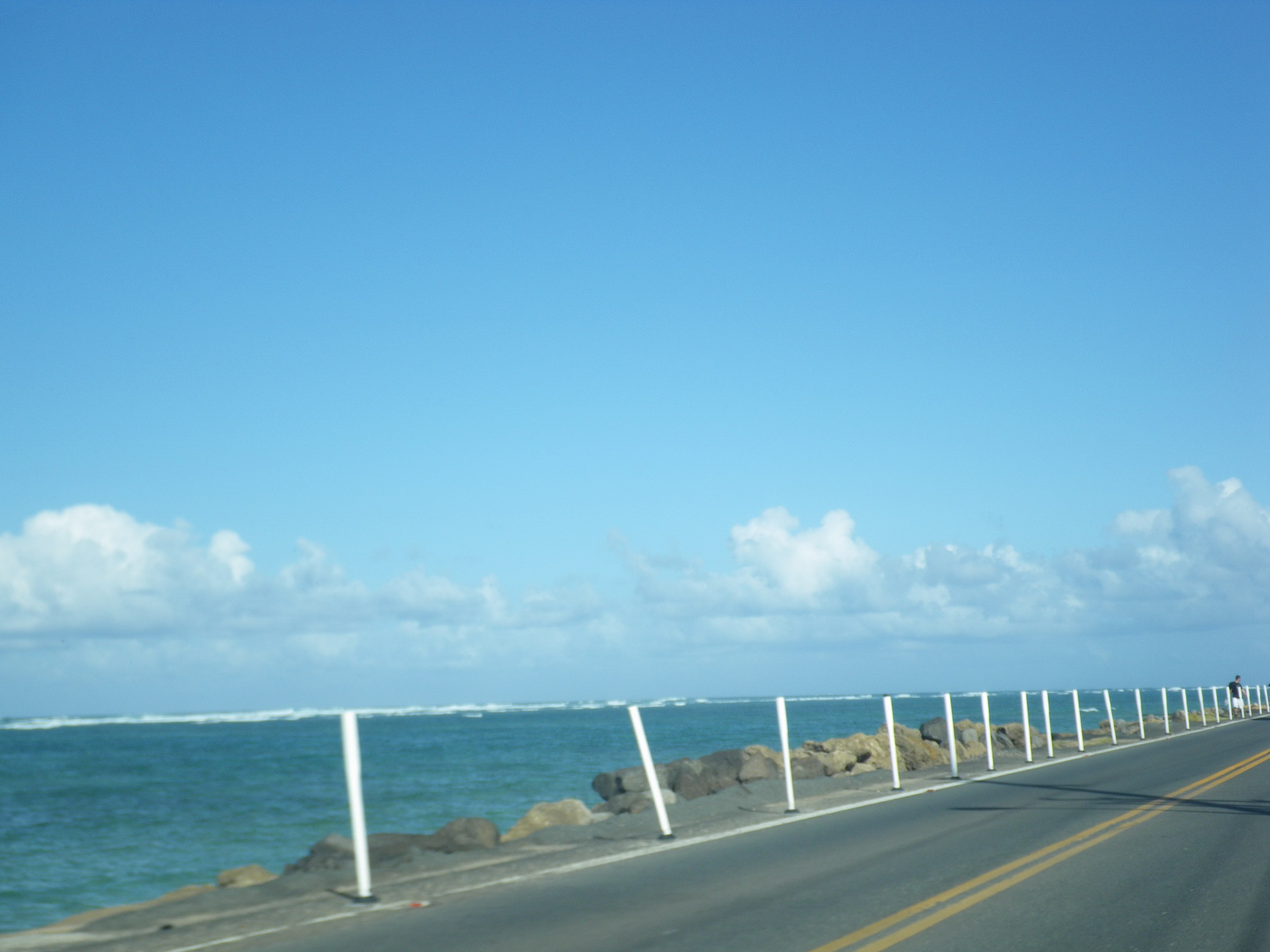 f0157268_22555557.jpg