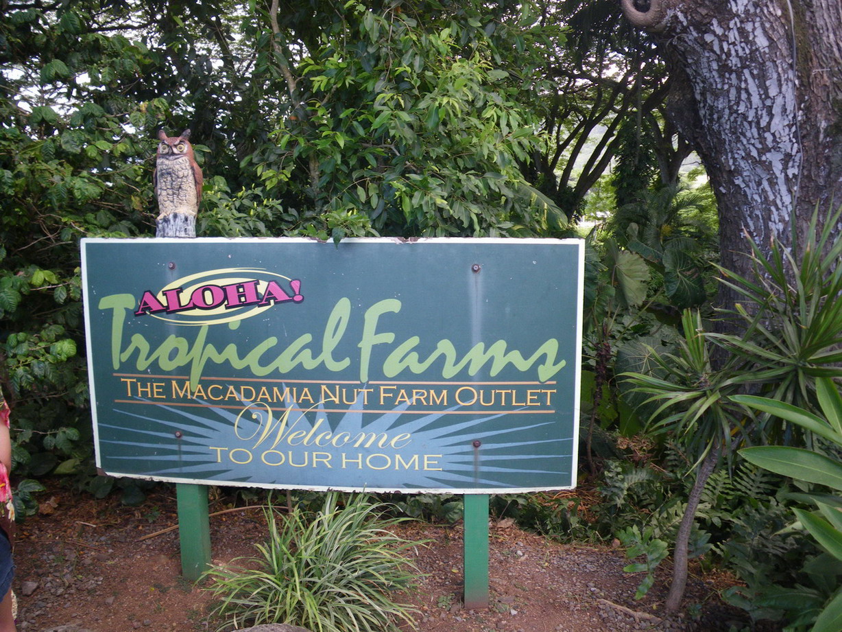 f0157268_234768.jpg