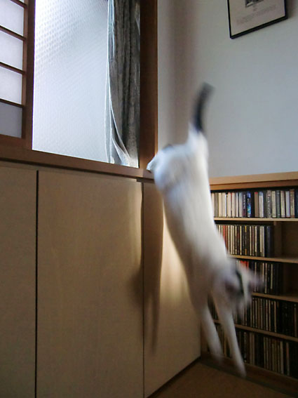 c0226874_1334448.jpg