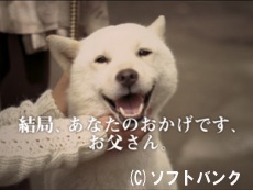 善い行ない・・・より_c0139575_23382787.jpg