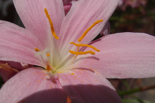 e0024081_15415929.jpg