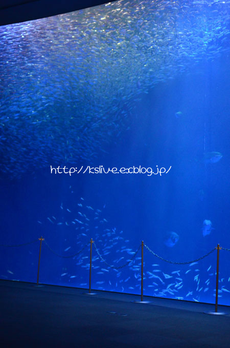 a0220782_23134347.jpg