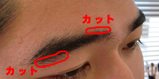 b0163088_951164.png