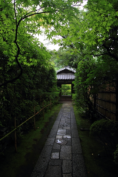 高桐院(大徳寺塔頭)_e0051888_22103650.jpg