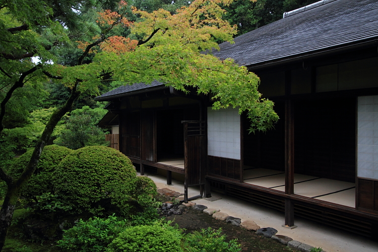 高桐院(大徳寺塔頭)_e0051888_22104954.jpg