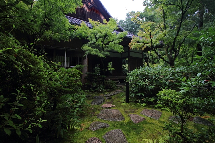 高桐院(大徳寺塔頭)_e0051888_2214250.jpg