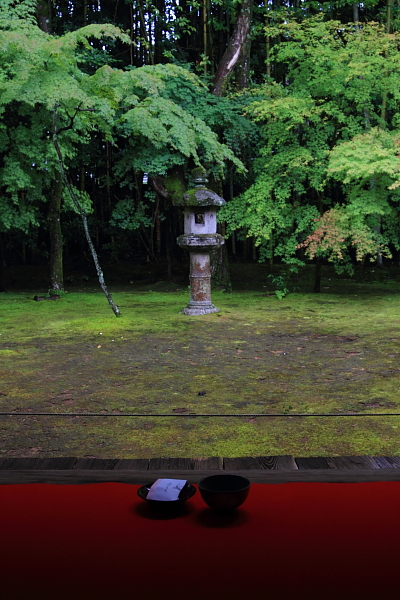 高桐院(大徳寺塔頭)_e0051888_22145346.jpg