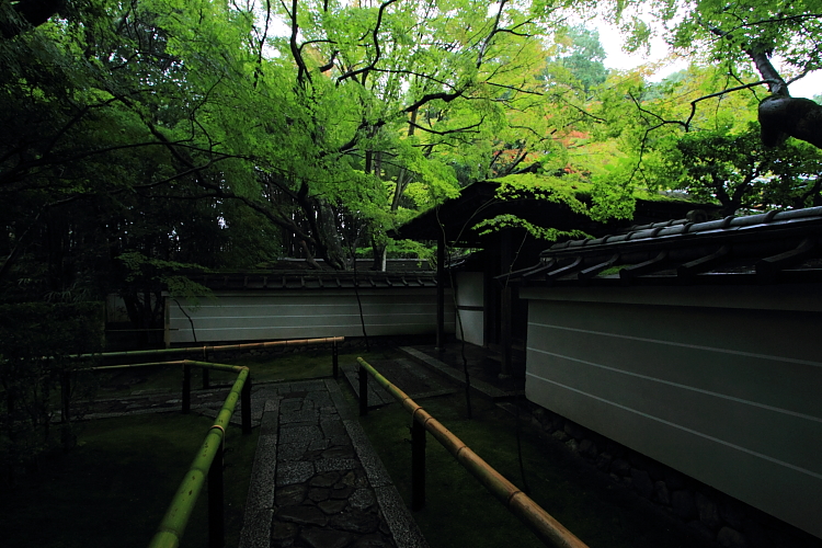 高桐院(大徳寺塔頭)_e0051888_22151122.jpg