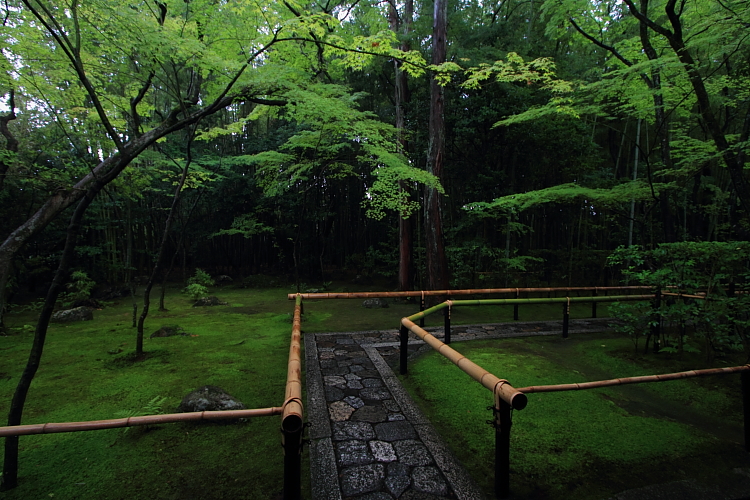 高桐院(大徳寺塔頭)_e0051888_2293652.jpg