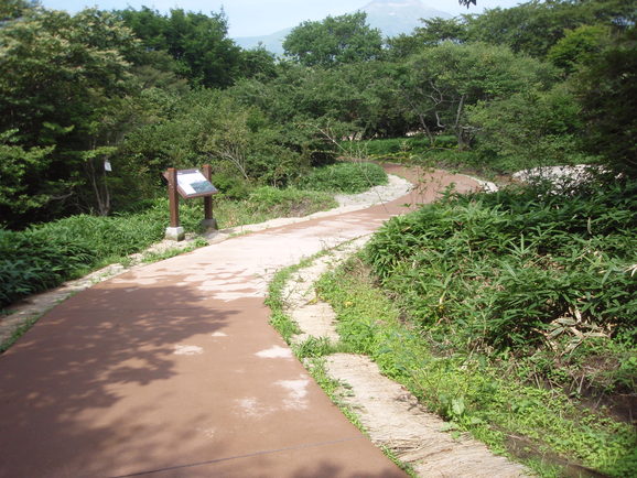 e0211689_948239.jpg
