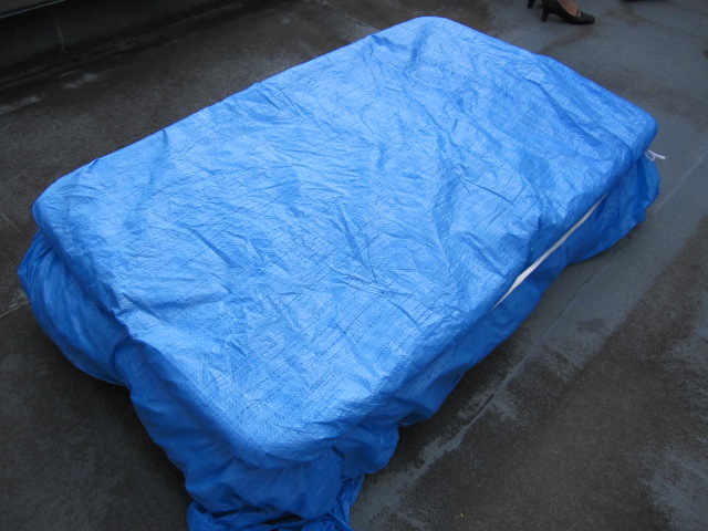 c0102793_1155182.jpg