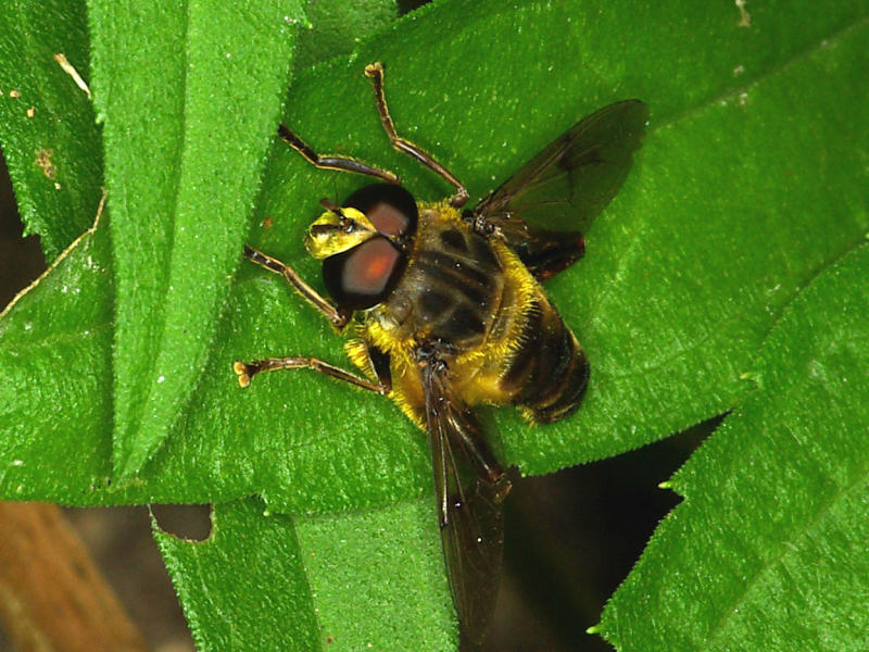 f0204094_21312385.jpg