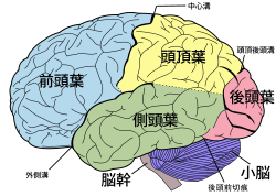 c0171899_0122443.png