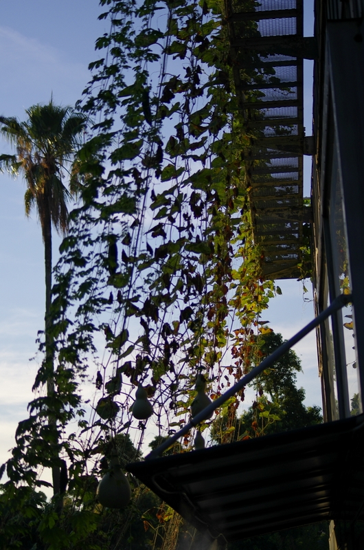 b0138101_23142745.jpg