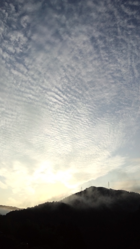 d0093903_7574266.jpg