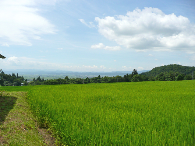 d0006207_21244655.jpg