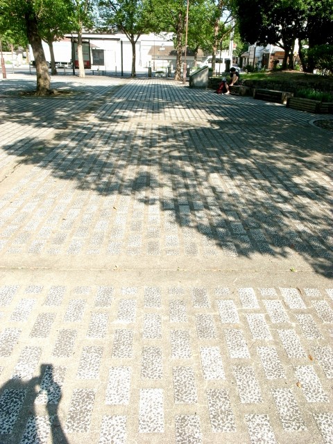 e0074308_2133272.jpg