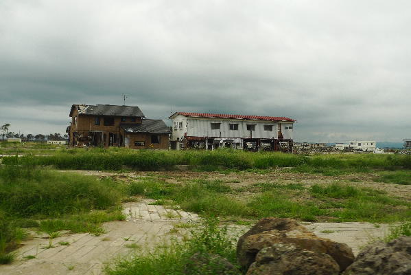 a0196709_824212.jpg