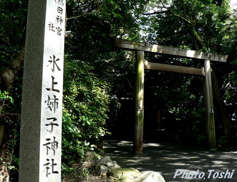 氷川姉子神社_b0223617_8562916.jpg