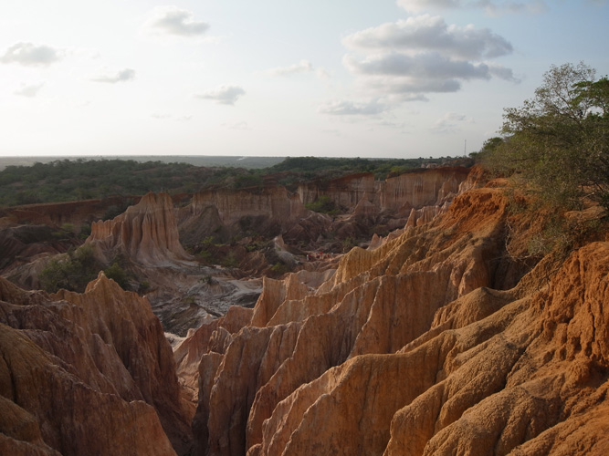 f0213817_55342.jpg