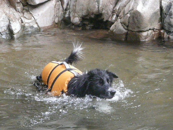 遠出の水遊び_c0229523_19332549.jpg