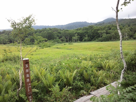 b0199924_1231611.jpg