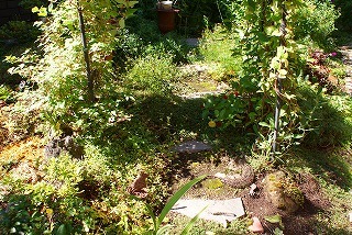 f0170524_11225175.jpg