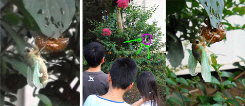 c0146127_21384179.gif