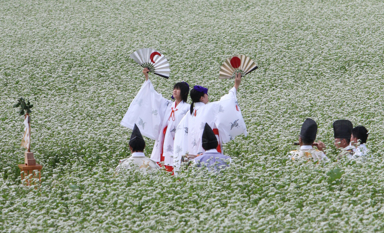 第10回　千軒そばの花鑑賞会　開催のお知らせ_e0070035_5304843.jpg