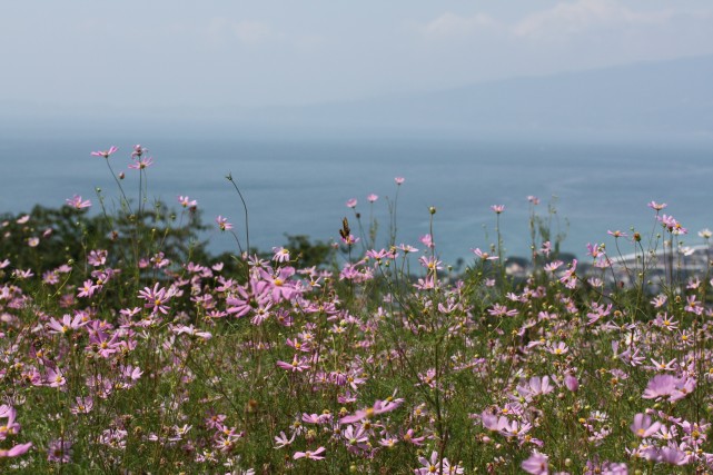 c0090236_2252261.jpg