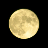 d0253237_1012142.jpg