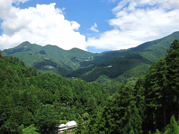 b0149340_20335862.jpg