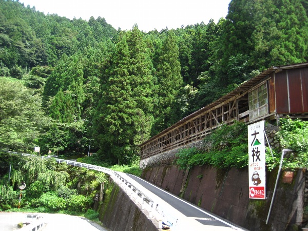 b0149340_20364660.jpg