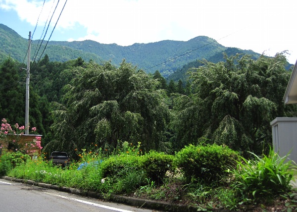 b0149340_20401671.jpg