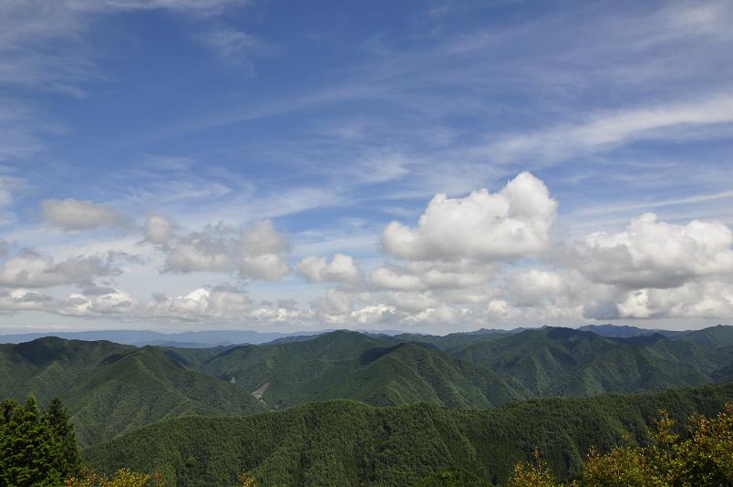 e0060542_1713278.jpg