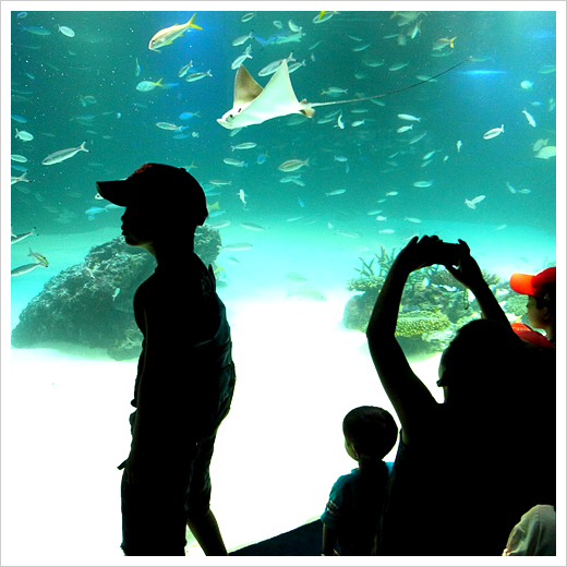 池袋サンシャイン水族館_b0049843_21571849.jpg