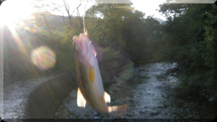 c0077847_2065442.png