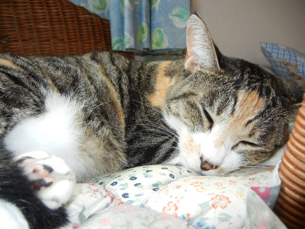2011年8月27日(土)今日も涼しい~!_f0060461_10138100.jpg