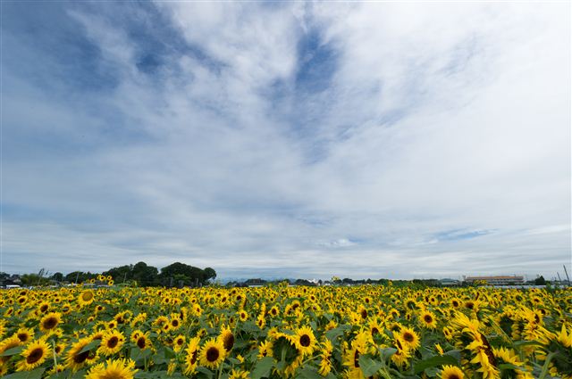 f0222161_1365062.jpg