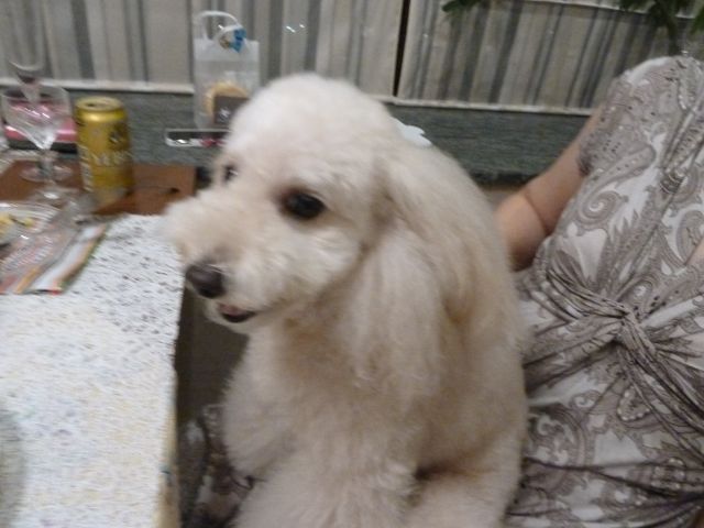 2011.8.27 夏子の誕生会_a0083571_1716143.jpg